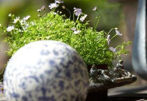 Gasthof zu den Linden – Doppelzimmer mit Badezimmer, Garten/Stadtblick