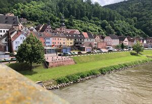 Ferienhaus "Blaues Häuschen - knapp am Main"