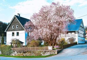 Feriendorf Falkenegg – Ferienhaus Falkenegg, 200qm, 4 Schlafzimmer, max. 12 Personen