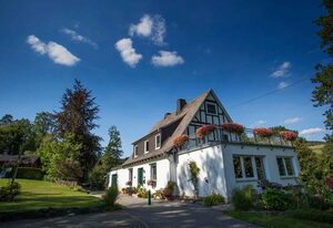 Pension Haus am Walde – Doppelzimmer mit Dusche/WC