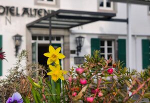 Hotel-Restaurant Altenberger Hof – Klassik Einzelzimmer