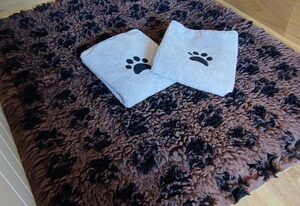 Ferienhaus Möhneaue Urlaub mit Hund