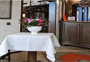 Hotel-Restaurant Domschenke – Doppelzimmer Comfort, Dusche & WC