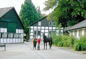 Hotel Gut Moschenhof – Komfort- Einzelzimmer