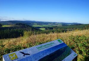 Ferienhaus Winterberg