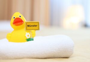 Cityhotel Amadeus – Doppelzimmer zur Alleinnutzung, Dusche/WC