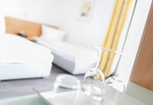 Hotel Ambiente – Doppelzimmer zur Einzelnutzung, Dusche/WC
