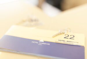 Hotel Ambiente – Doppelzimmer zur Einzelnutzung, Dusche/WC