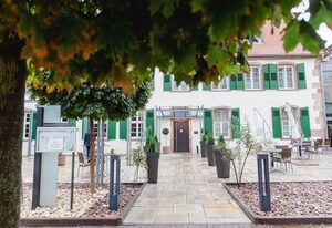 Schlosshotel Bergzaberner Hof – Einzelzimmer, Dusche oder Bad, WC