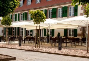 Schlosshotel Bergzaberner Hof – Einzelzimmer, Dusche oder Bad, WC