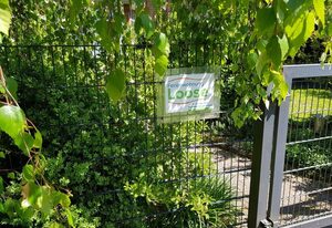 Ferienwohnung Loose