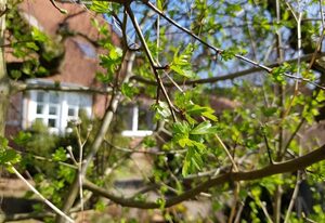Ferienwohnung Loose