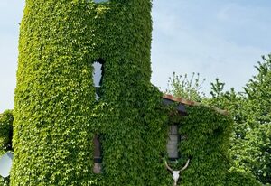 Turm auf altem Bauernhof