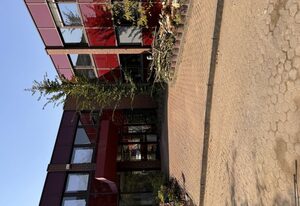 MC MONTI - Köln Nord – 1-Bett-Zimmer