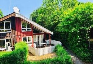 Komfort-Ferienhaus Sonnental #50