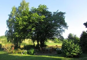 Ferienwohnungen an der Austwies – Ferienwohnung Flieder