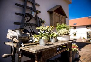 Hofgut Dösterhof - Ferienwohnungen – Wohnung Hölzchen