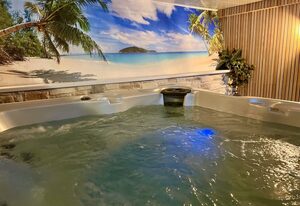 Tolles Ferienhaus für 16 Personen im Westerwald mit Sauna, Whirlpool, Kino und Bar