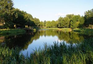 Ferienhaus am Flaumbach