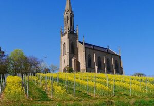 Weingut Funck-Schowalter – Doppelzimmer Dusche/WC
