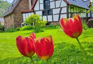 Landhaus am Aremberg – Ferienhaus "Altes Steinhaus" (max. 9 Personen)
