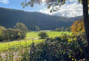 Moselchalet – Ferienhaus