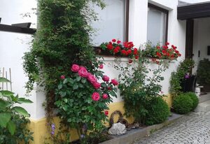 Ferienwohnung "Am Eisenbühl" – 3-Sterne-Ferienwohnung (90qm) mit Panoramablick