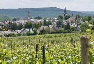 Ferienwohnung an den Weingärten – Ferienwohnung mit 2 Schlafzimmer und Terrasse