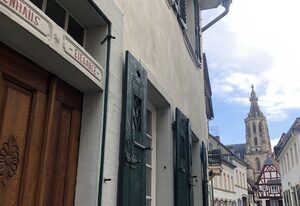 Altstadtmeise Elegance