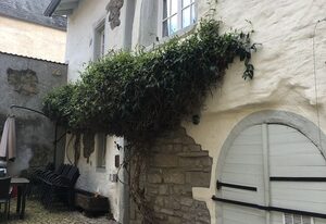 Altstadtmeise Rustika