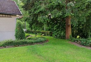 Hasenecke