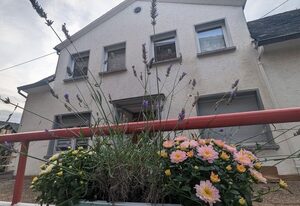 Ferienhaus "Silent River-Mosel – Ferienhaus, Dusche oder Bad, WC