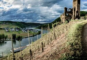 Moselstern**sHotel "Zum Guten Onkel" – Einzelzimmer Standard