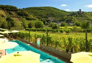Mosel Village Resort "Spa & Wellness" – Chalet - 1-2 Personen - 1 Schlafzimmer