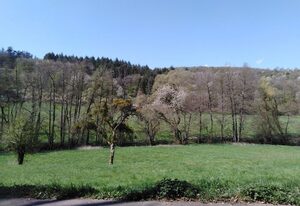 Ferienhaus Cilla – Ferienhaus, Dusche, WC