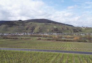 Weingut Erz – Appartement 3 "Moselblick"