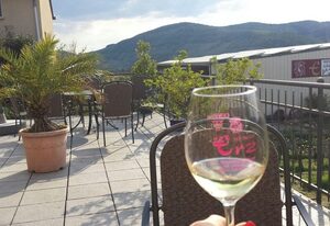 Weingut Erz – Appartement 3 "Moselblick"