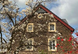 Moselbleibe Altes Forsthaus – Moselbleibe II Altes Forsthaus