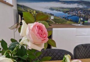 Loft-Fewo Moselblick
