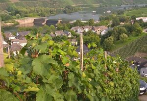 Wein- und Gästehaus Schiefergold – Doppelzimmer, Dusche, WC