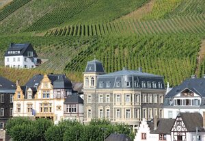 Ferienhaus Haus Waldblick