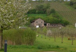 Gästehaus-Gasthof "Wein im Turm" – Winzerzimmer  (Nr. 1, 2)