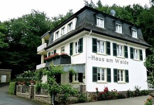 Pension Haus am Walde – Doppelzimmer mit SAT-TV