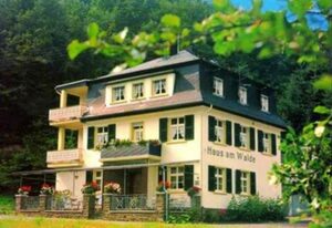 Pension Haus am Walde – Doppelzimmer mit SAT-TV