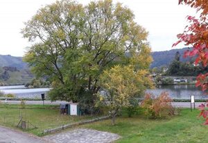 Ferienhaus in Mehring