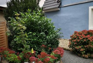 Das blaue Haus