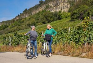 Weingut-Ferienwohnung Heinz Dostert