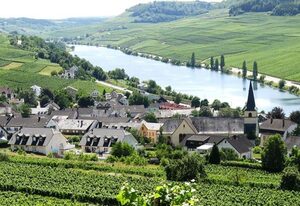 Weingut-Ferienwohnung Heinz Dostert
