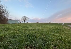 Ferienwohnung Streamatze auf Whiskey´s Farm