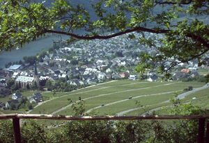 Steuer, Axel – 2-Bettwohnung Fewo (oben)